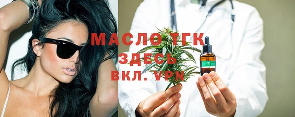шишки Заволжье