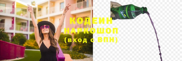 шишки Заволжье