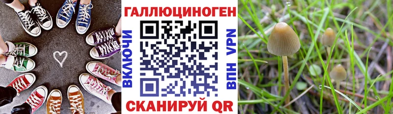 Купить закладки  Советский  Псилоцибиновые грибы мицелий 